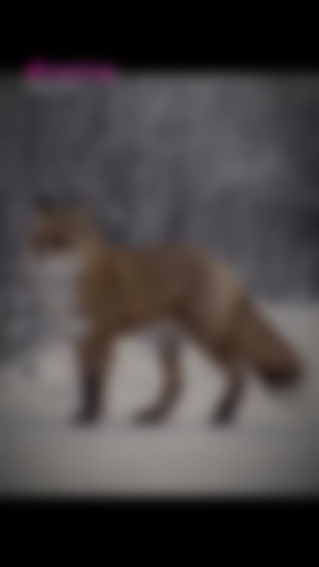 #hotgirl TikTok Porn