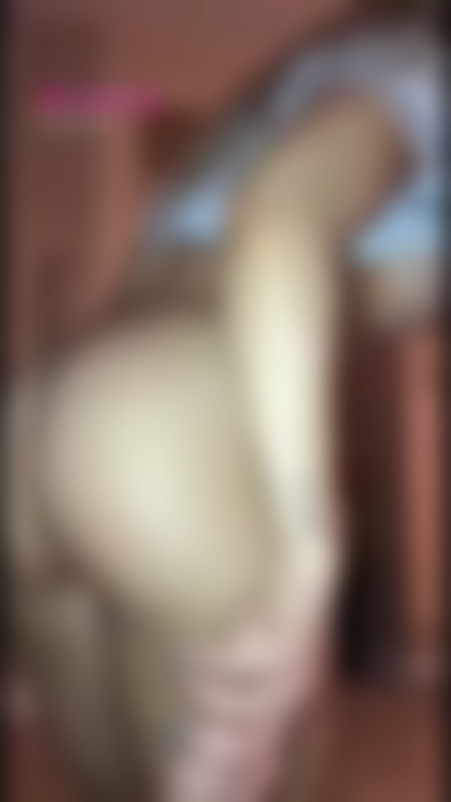 #ass TikTok Porn
