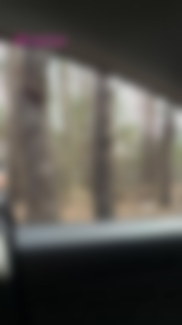 I shouldn't be doing this in the woods but I couldn't help myself #public #brunette #cargirl #fakeboobs #hotgirls TikTok Porn