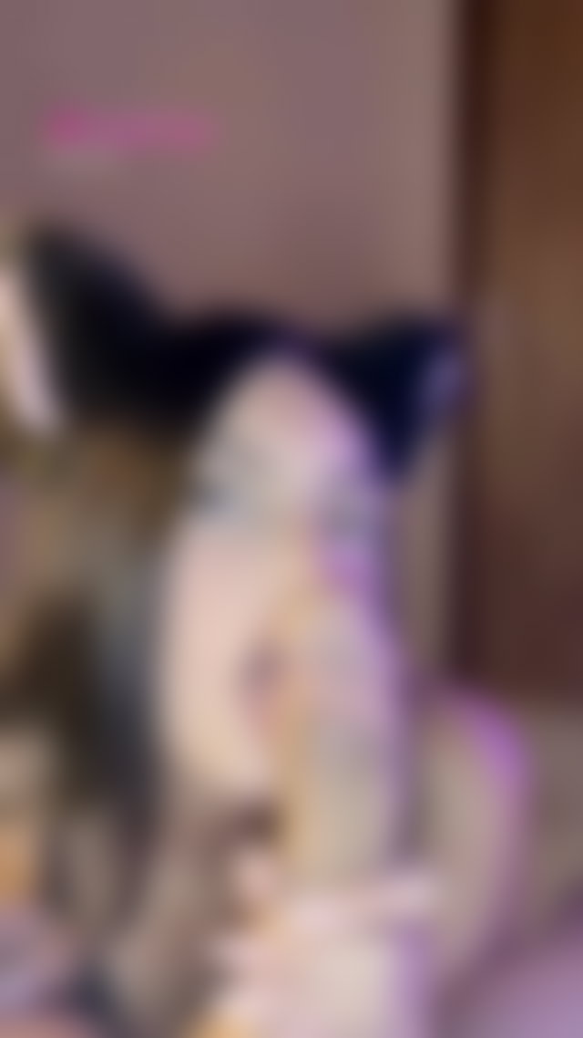TikTok Porn