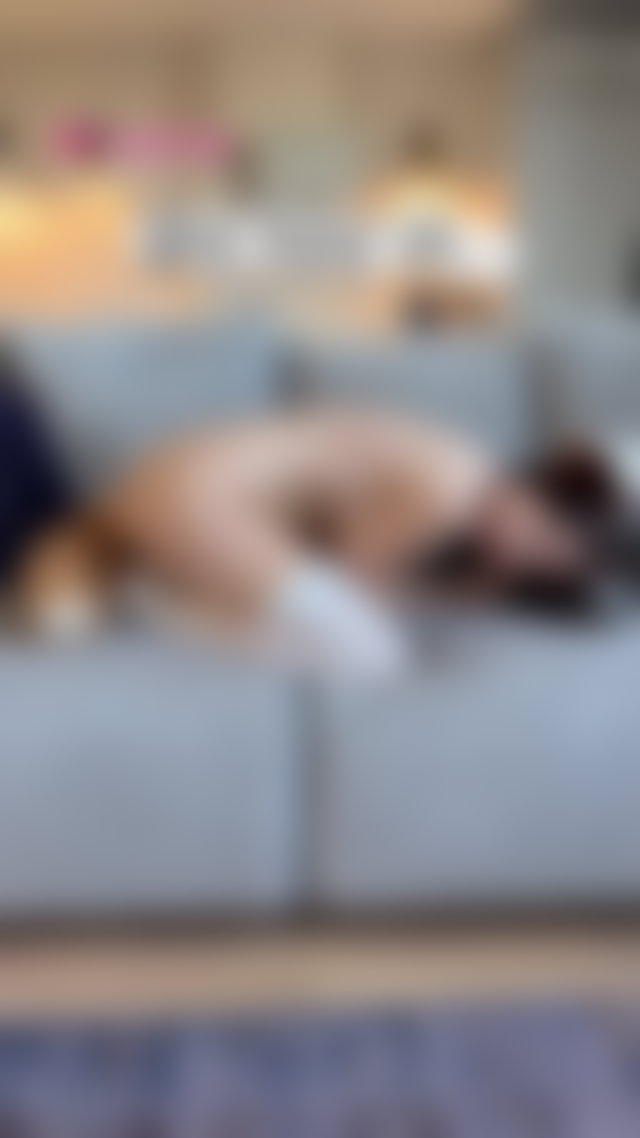 Shy foxy Vs naughty foxy...which one will you choose? 😜 #tail #plugtail #petite #analplug TikTok Porn
