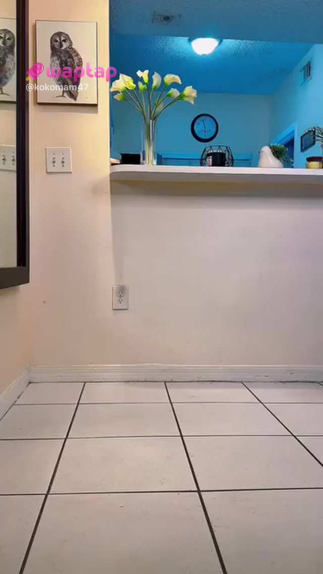 Follando #comedy TikTok Porn