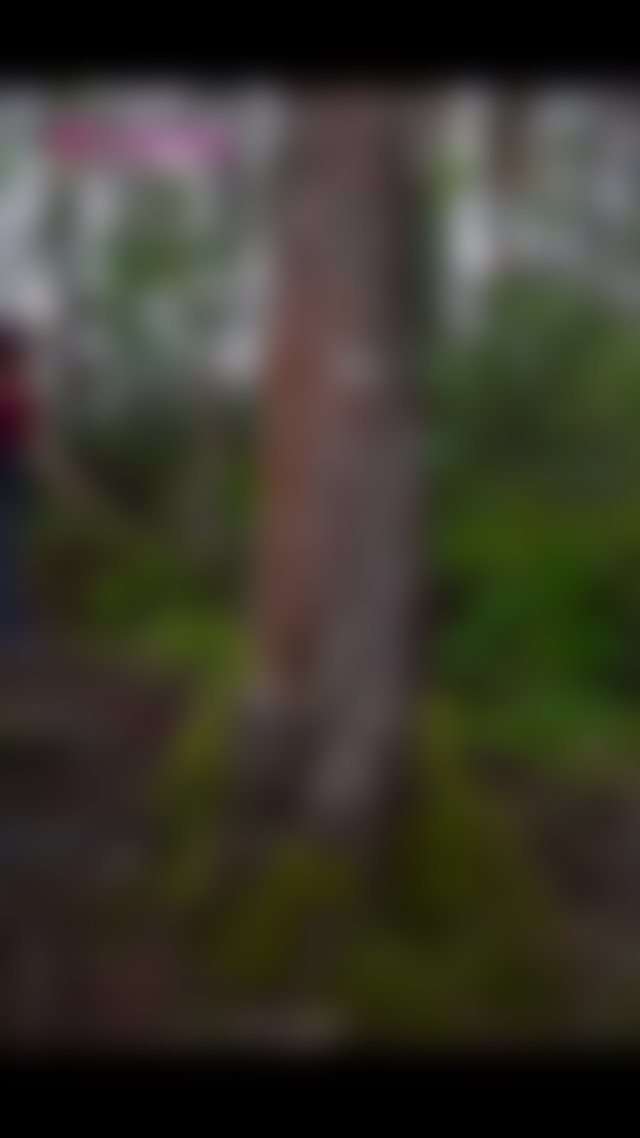 #surprise #naturaltits #nudes TikTok Porn